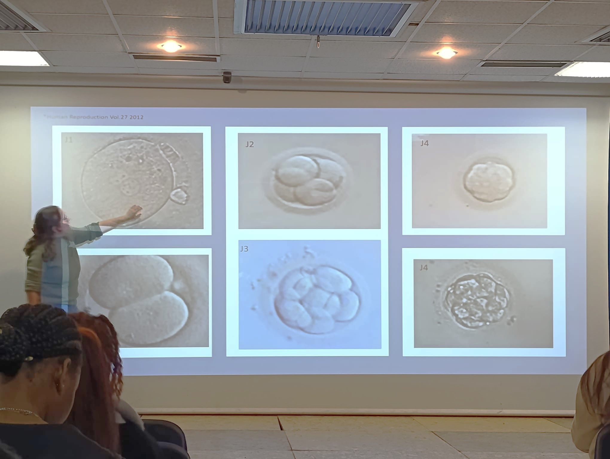 article amp photo1 2025